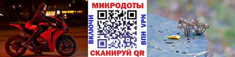 Купить где Окуловка Псилоцибиновые грибы GOLDEN TEACHER